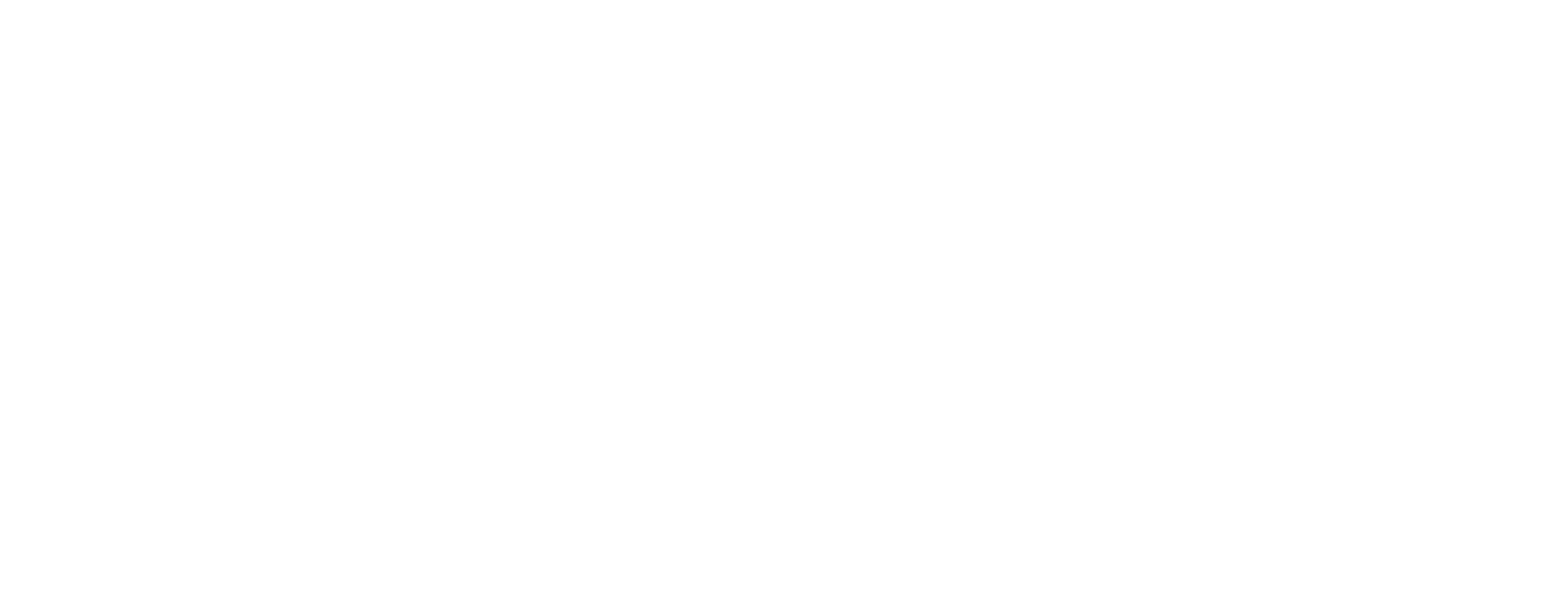 VW Commercial Vehicle