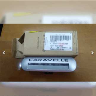 VW Caravelle 2010-2011 Entry Lighting