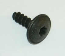 VW Various Models Roof Track Rail Bolt