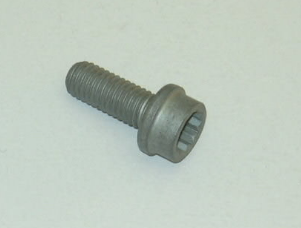 VW Various Models EGR Pipe Bolt M8X20